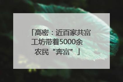 高密：近百家共富工坊带着5000余农民“奔富”