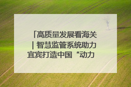 高质量发展看海关｜智慧监管系统助力宜宾打造中国“动力电池之都”