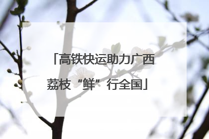 高铁快运助力广西荔枝“鲜”行全国