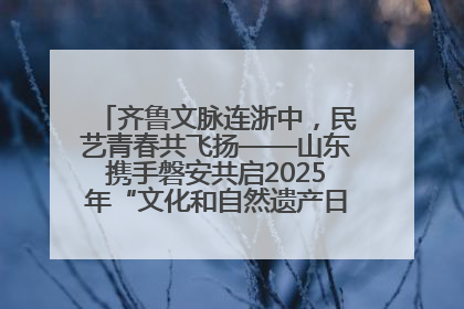 齐鲁文脉连浙中,民艺青春共飞扬——山东携手磐安共启2025年“文化和自然遗产日”系列活动