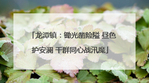 龙潭镇：锄光凿险隘 昼色护安澜 干群同心战汛魔