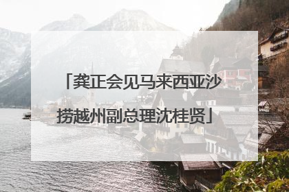 龚正会见马来西亚沙捞越州副总理沈桂贤