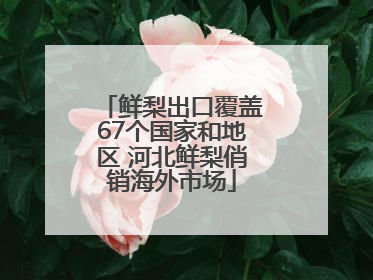 鲜梨出口覆盖67个国家和地区 河北鲜梨俏销海外市场