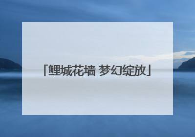 鲤城花墙 梦幻绽放