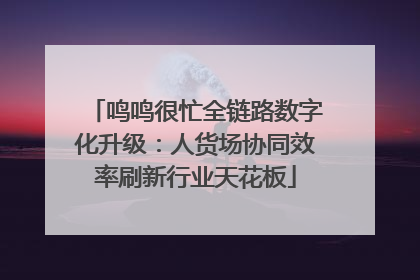 鸣鸣很忙全链路数字化升级：人货场协同效率刷新行业天花板