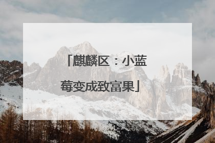 麒麟区：小蓝莓变成致富果