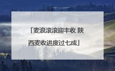 麦浪滚滚迎丰收 陕西麦收进度过七成