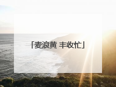 麦浪黄 丰收忙