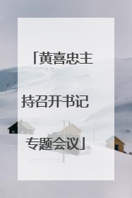 黄喜忠主持召开书记专题会议