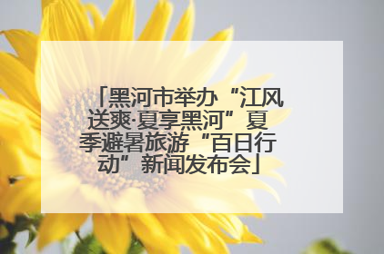 黑河市举办“江风送爽·夏享黑河”夏季避暑旅游“百日行动”新闻发布会