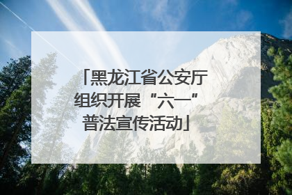 黑龙江省公安厅组织开展“六一”普法宣传活动
