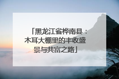 黑龙江省桦南县：木耳大棚里的丰收盛景与共富之路