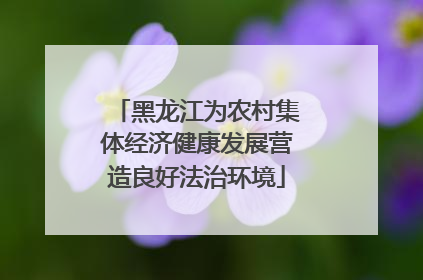 黑龙江为农村集体经济健康发展营造良好法治环境