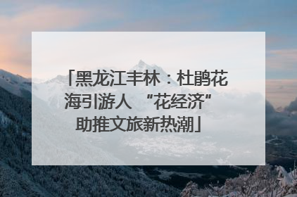 黑龙江丰林：杜鹃花海引游人 “花经济”助推文旅新热潮