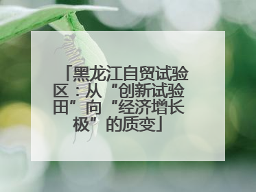 黑龙江自贸试验区：从“创新试验田”向“经济增长极”的质变