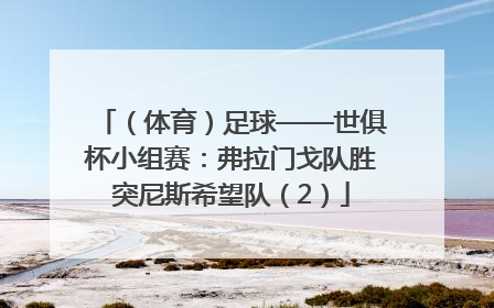 （体育）足球——世俱杯小组赛：弗拉门戈队胜突尼斯希望队（2）
