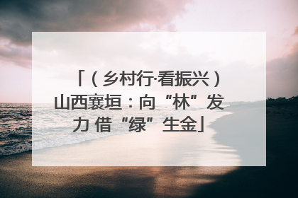 （乡村行·看振兴）山西襄垣：向“林”发力 借“绿”生金