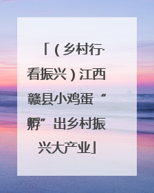（乡村行·看振兴）江西赣县小鸡蛋“孵”出乡村振兴大产业