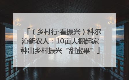 （乡村行·看振兴）科尔沁新农人：10亩大棚起家种出乡村振兴“甜蜜果”