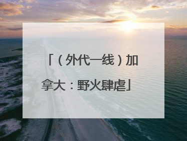 （外代一线）加拿大：野火肆虐