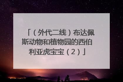 （外代二线）布达佩斯动物和植物园的西伯利亚虎宝宝（2）
