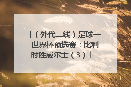 （外代二线）足球——世界杯预选赛：比利时胜威尔士（3）