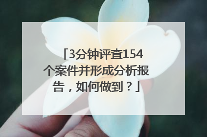3分钟评查154个案件并形成分析报告，如何做到？