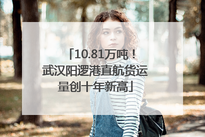 10.81万吨！武汉阳逻港直航货运量创十年新高