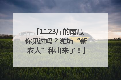 1123斤的南瓜你见过吗？潍坊“新农人”种出来了！