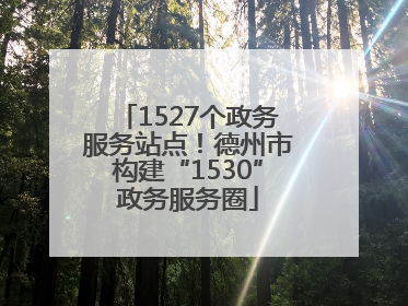 1527个政务服务站点！德州市构建“1530”政务服务圈