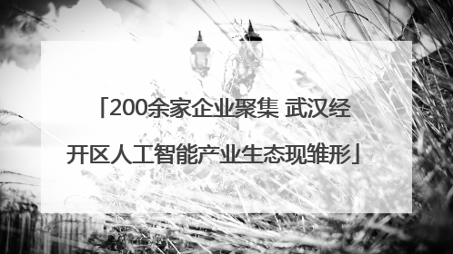 200余家企业聚集 武汉经开区人工智能产业生态现雏形