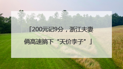 200元记9分，浙江夫妻俩高速摘下“天价李子”