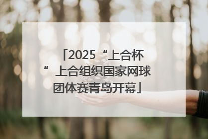 2025“上合杯”上合组织国家网球团体赛青岛开幕