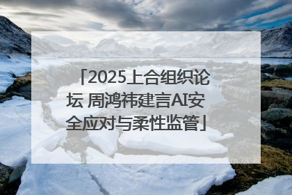 2025上合组织论坛 周鸿祎建言AI安全应对与柔性监管
