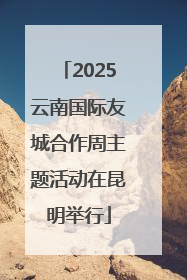 2025云南国际友城合作周主题活动在昆明举行