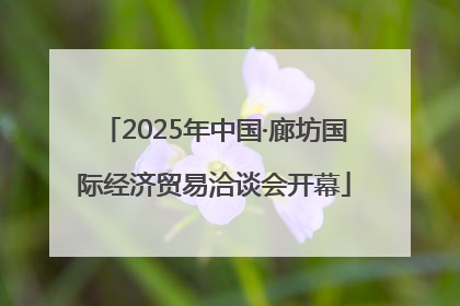2025年中国·廊坊国际经济贸易洽谈会开幕