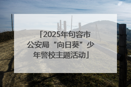 2025年句容市公安局“向日葵”少年警校主题活动