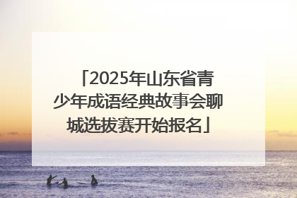 2025年山东省青少年成语经典故事会聊城选拔赛开始报名