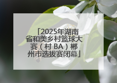 2025年湖南省和美乡村篮球大赛（村 BA）郴州市选拔赛闭幕