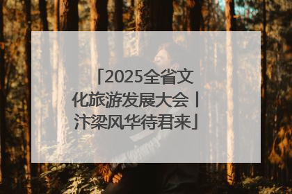 2025全省文化旅游发展大会丨汴梁风华待君来