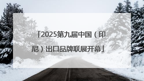2025第九届中国（印尼）出口品牌联展开幕
