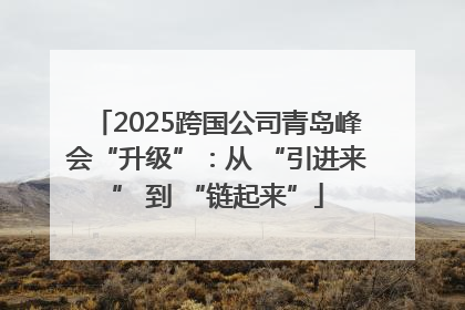 2025跨国公司青岛峰会“升级”：从 “引进来” 到 “链起来”