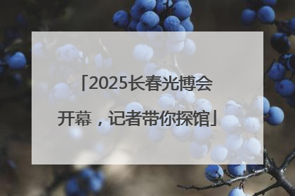 2025长春光博会开幕，记者带你探馆