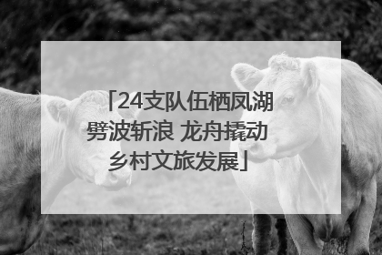 24支队伍栖凤湖劈波斩浪 龙舟撬动乡村文旅发展