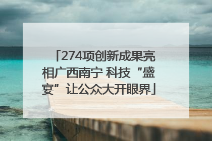 274项创新成果亮相广西南宁 科技“盛宴”让公众大开眼界