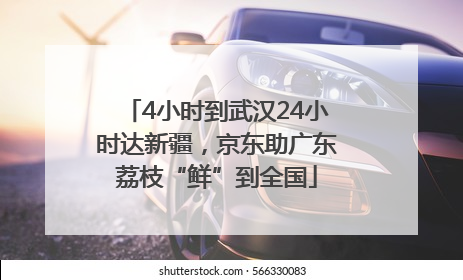 4小时到武汉24小时达新疆，京东助广东荔枝“鲜”到全国