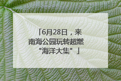 6月28日，来南海公园玩转超燃 “海洋大集”