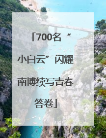 700名“小白云”闪耀南博续写青春答卷