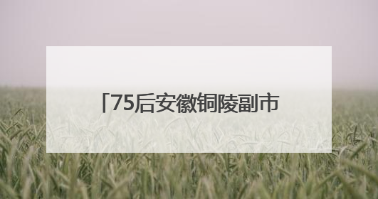 75后安徽铜陵副市长杨文萍履新铜陵市委常委、枞阳县委书记