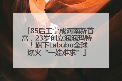 85后王宁成河南新首富，23岁创立泡泡玛特！旗下Labubu全球爆火“一娃难求”